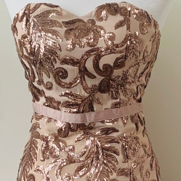 Lucy Wang Other - Lucy Wang Full Length Strapless Sequin Gown